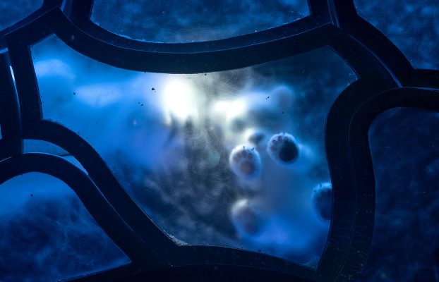 Праздничная атмосфера в театре МОТК