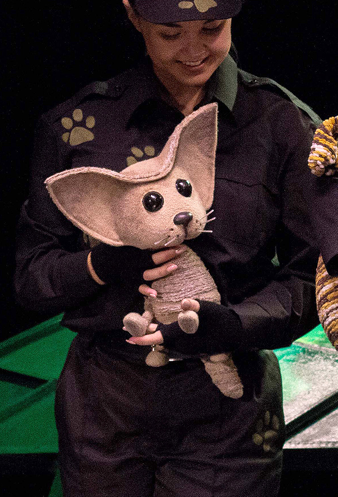 Котёнок по имени Гав